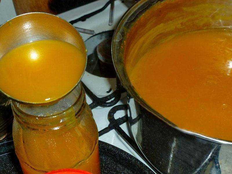 Вкусные рецепты сока из тыквы на зиму с фото