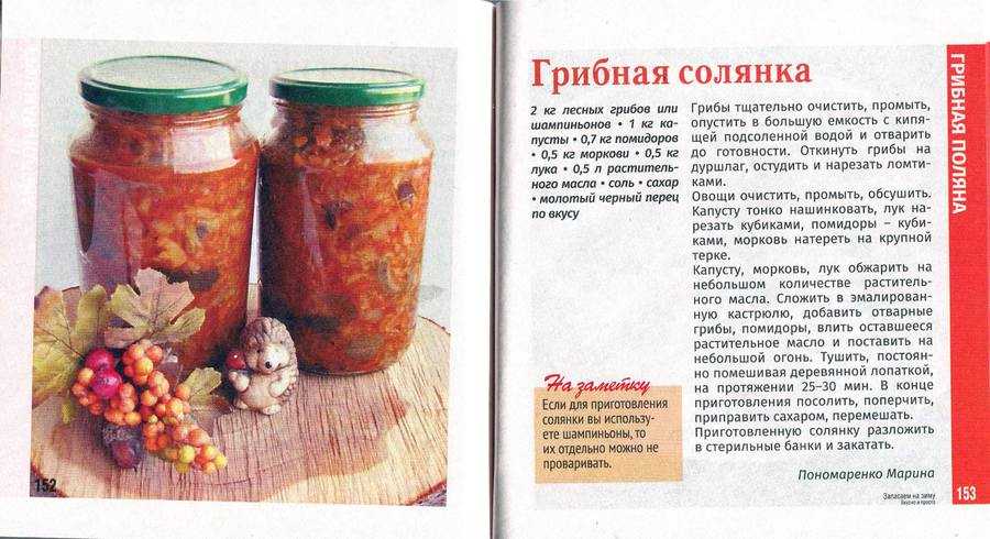 Солянка из капусты на зиму: рецепты с грибами, помидорами, луком