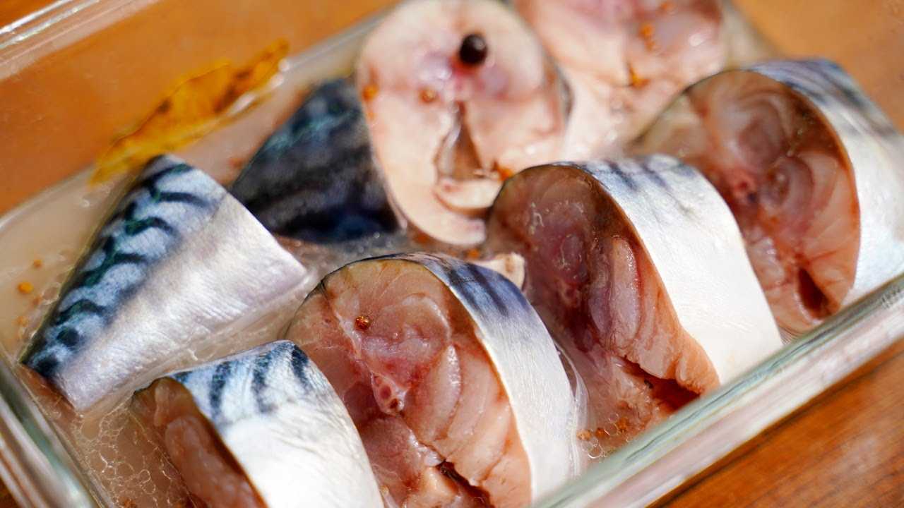 Как солить скумбрию в домашних условиях быстро и вкусно: рецепты соленой рыбы целиком и кусочками