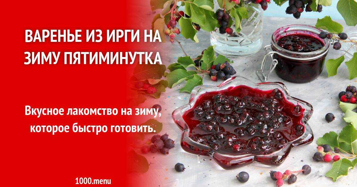 Как сделать варенье из ирги на зиму: 5 лучших рецептов