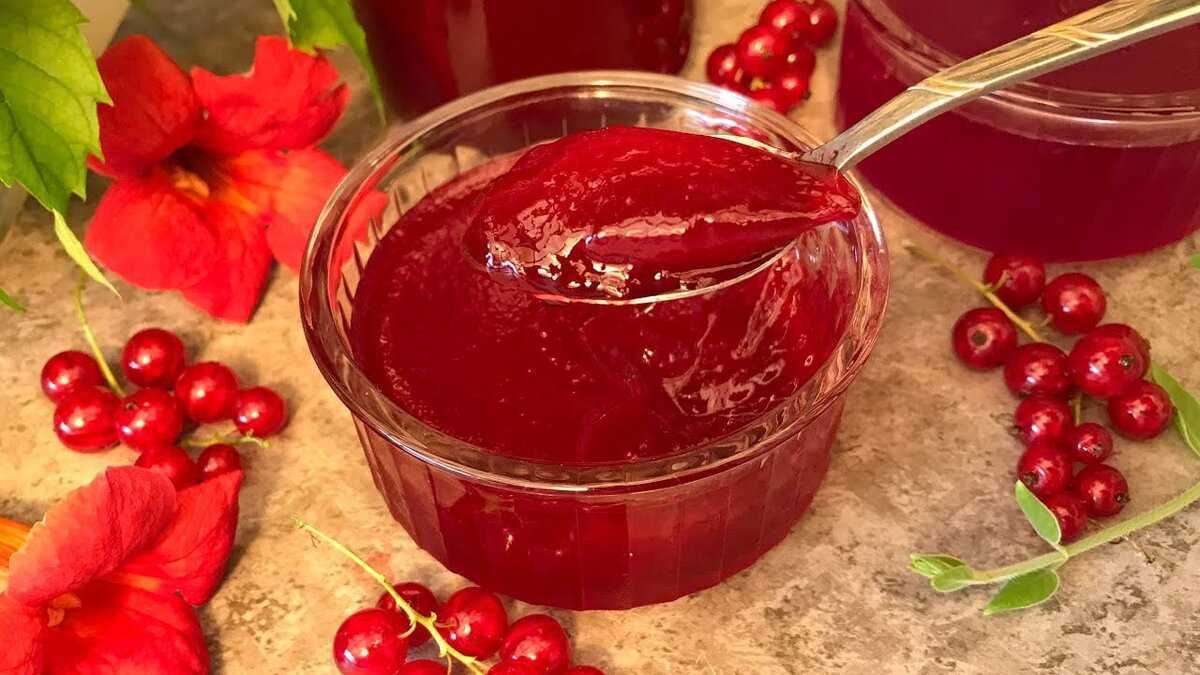 Желе из красной смородины на зиму: 20 самых вкусных рецептов