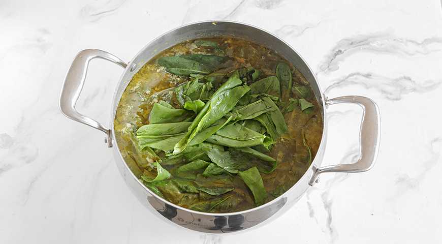 12 простых и вкусных щавелевых супов с яйцом