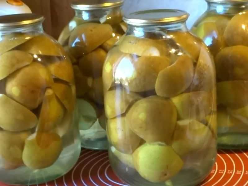 Компот из груш на зиму: 10+ рецептов простых и очень вкусных