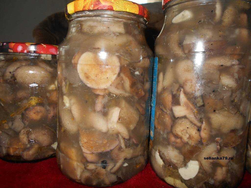 Маринованные маслята на зиму — 5 самых вкусных и простых рецептов