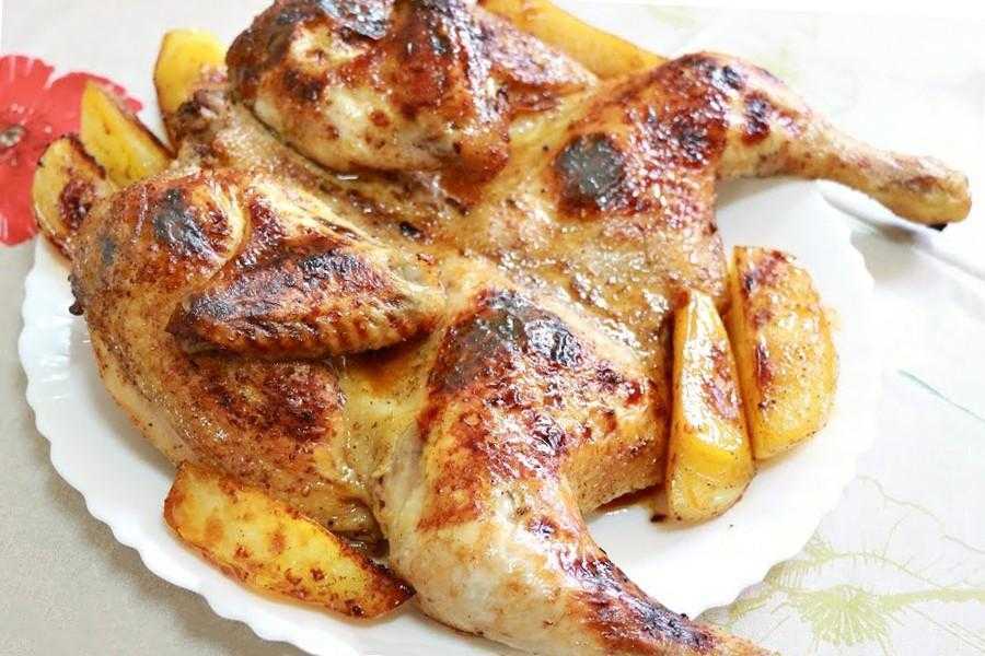 Цыпленок тапака (табака) в духовке пошаговый рецепт