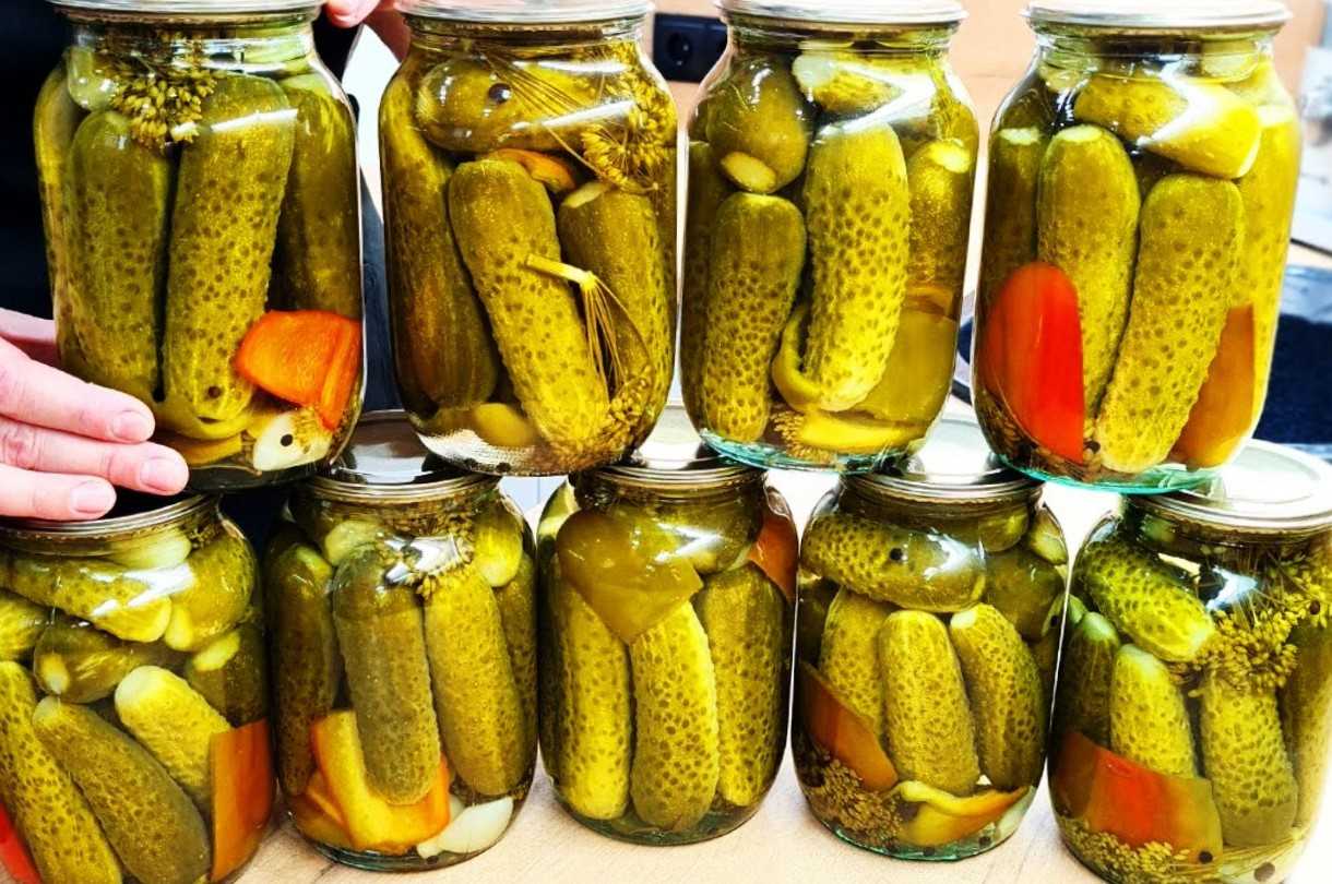 Огурцы в огурцах на зиму: хрустящие и вкусные