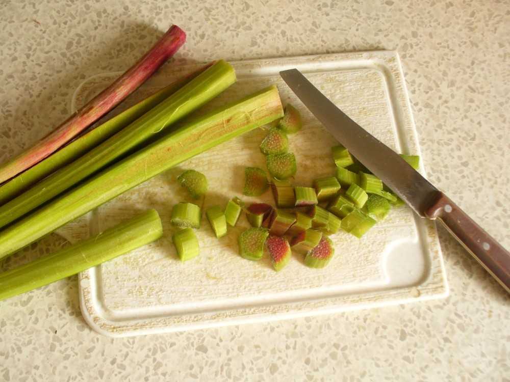 Рецепты вкусных пирогов с начинкой из ревеня