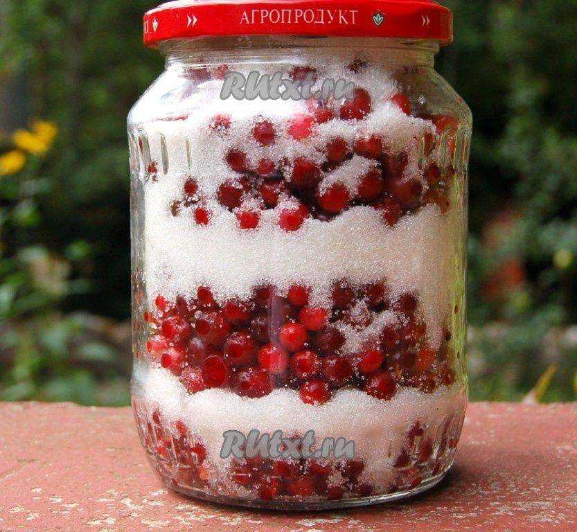 Что приготовить из брусники: 10 вкусных рецептов