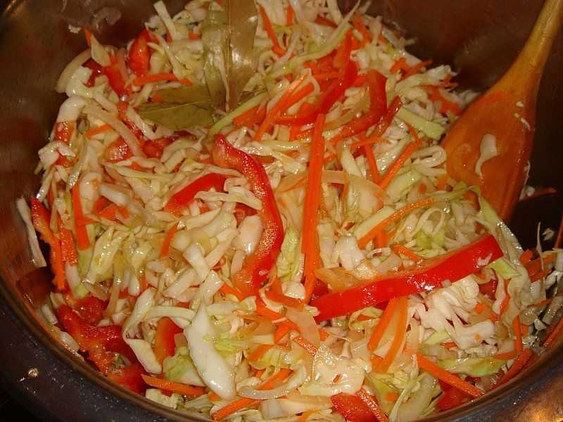 Маринованная капуста - 10 быстрых и простых рецептов приготовления