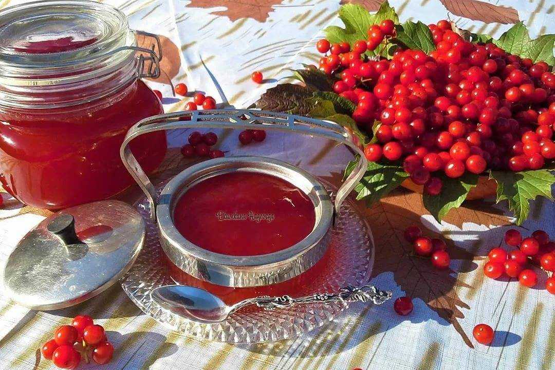 Калина с сахаром на зиму без варки: 7 лучших рецептов заготовок