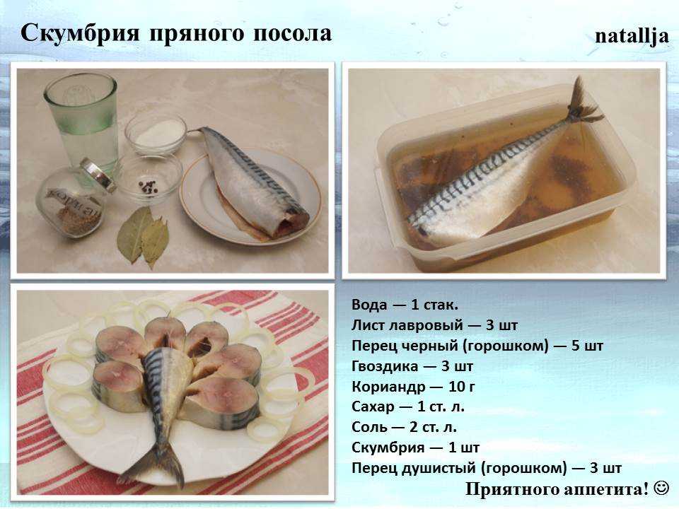 Как солить скумбрию в рассоле: 7 рецептов