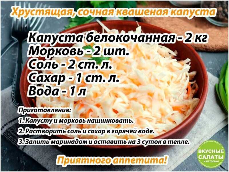 Квашеная капуста быстрого приготовления: 5 рецептов хрустящей и сочной капусты