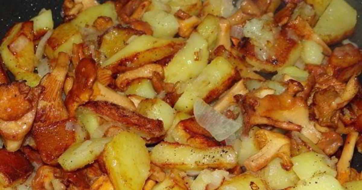 Блюда из замороженных лисичек. как быстро и вкусно приготовить на сковороде замороженные лисички – лучший рецепт