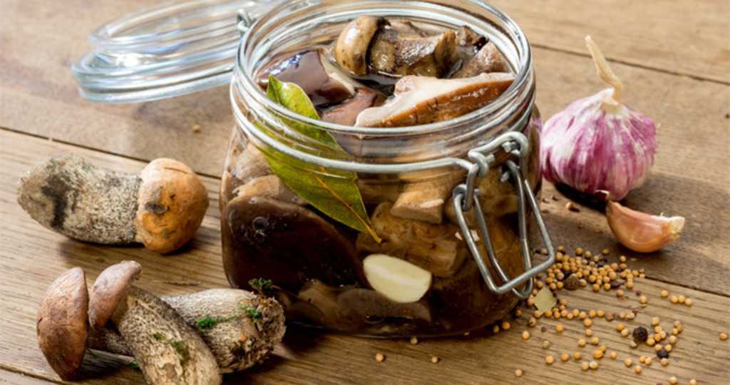 Вкусные грибы, маринованные на зиму с уксусом и без: надежные рецепты приготовления без стерилизации
