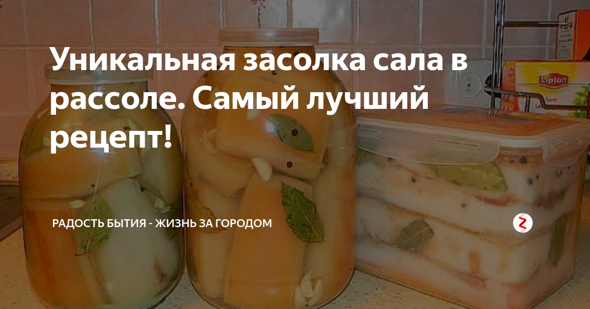 Как посолить сало в рассоле очень вкусно в домашних условиях? самые вкусные рецепты сала в банке