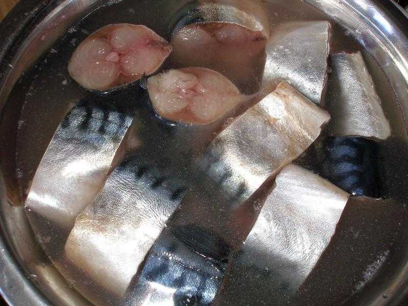 Как засолить скумбрию в домашних условиях? 8 очень вкусных рецептов скумбрии с несравненным вкусом