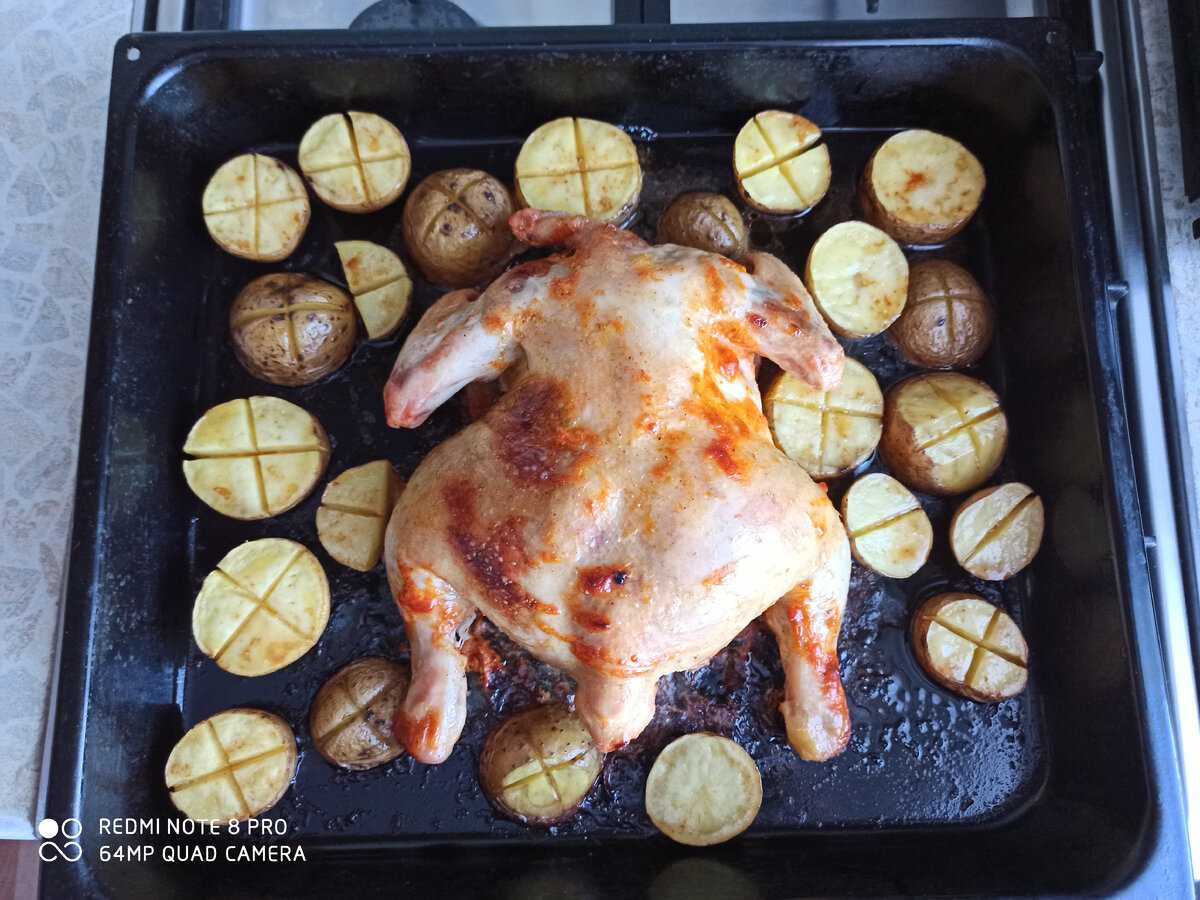 Цыпленок табака в духовке целиком: классический рецепт