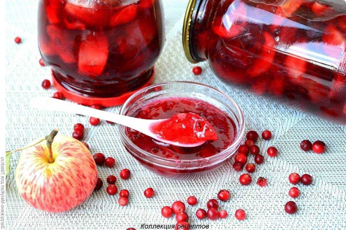 Брусника на зиму: с сахаром, без сахара, соус, варенье, компот, желе.  ягода брусника свойства: витамины, микроэлементы. брусника при цистите, простуде. брусника мочёная, сушёная: рецепт