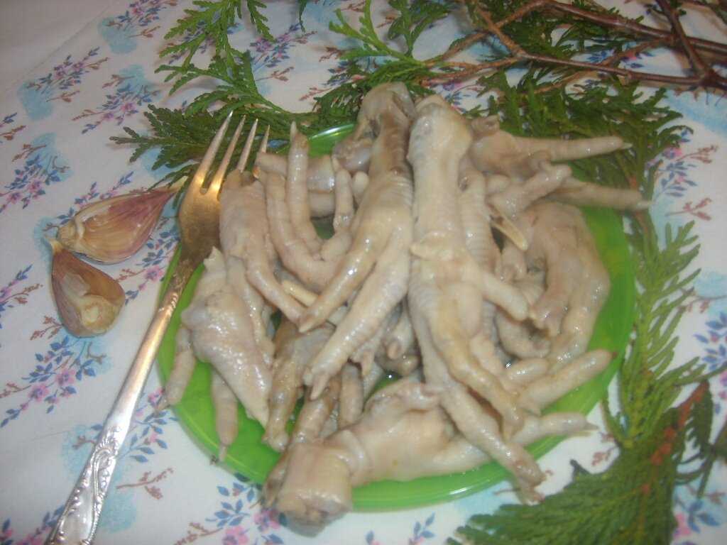 Холодец из курицы: 7 рецептов куриного холодца с желатином или без него