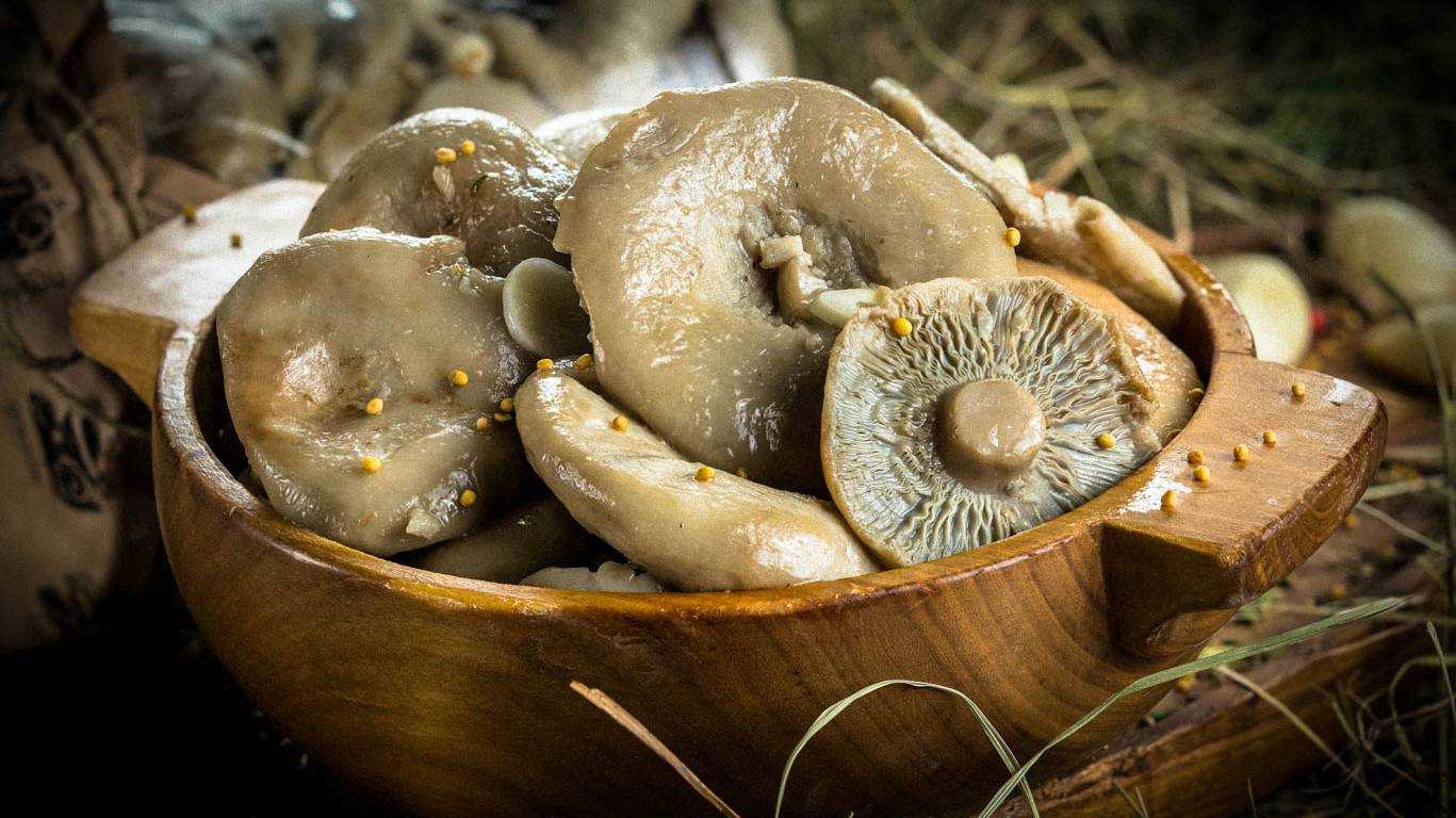 Как солить грузди на зиму, чтобы были хрустящими ароматными и вкусными