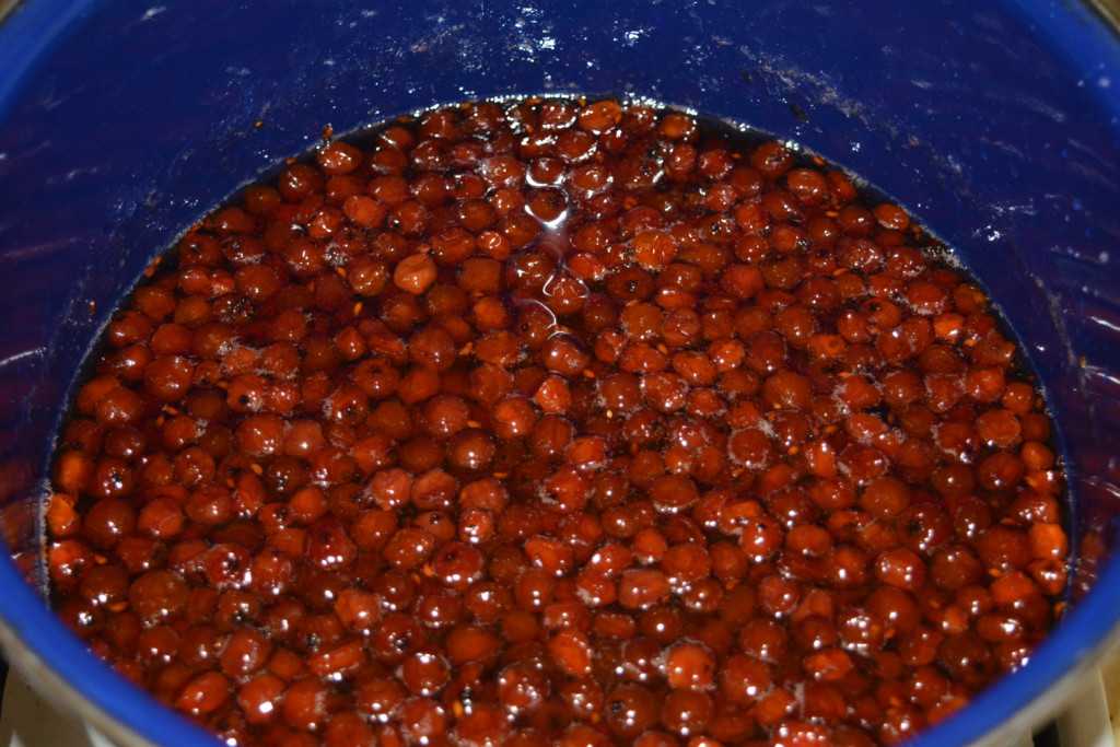 Рябина на зиму - простые рецепты вкусных и полезных заготвок