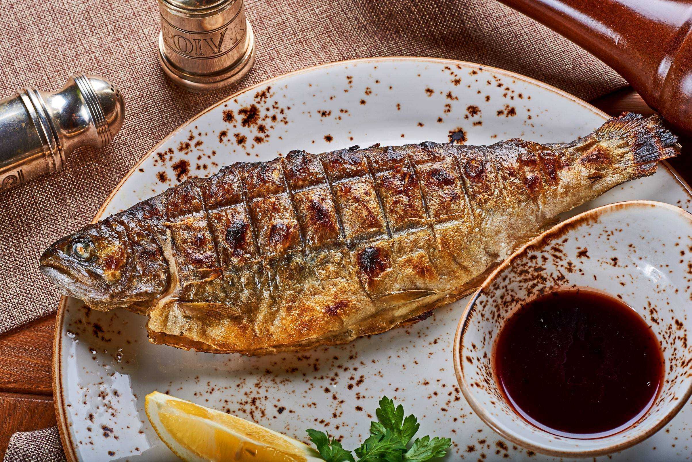 12 рецептов форели на мангале для любителей вкусно покушать