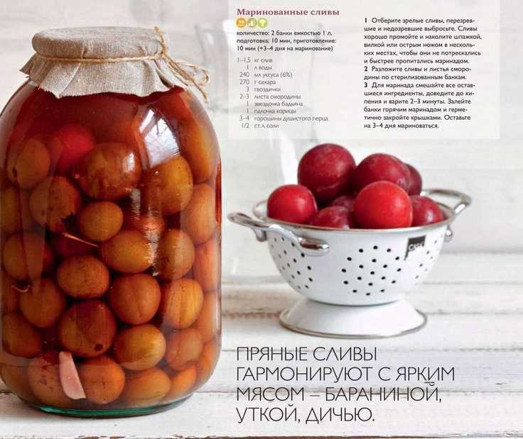 Маринованные сливы на зиму: 6 простых рецептов приготовления в домашних условиях