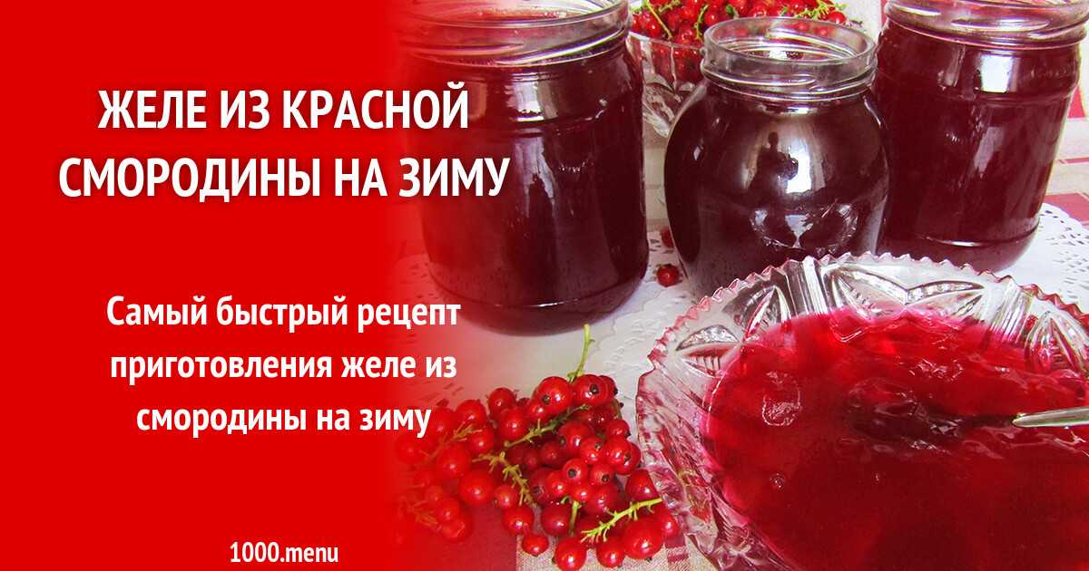 Самые вкусные рецепты желе из красной смородины