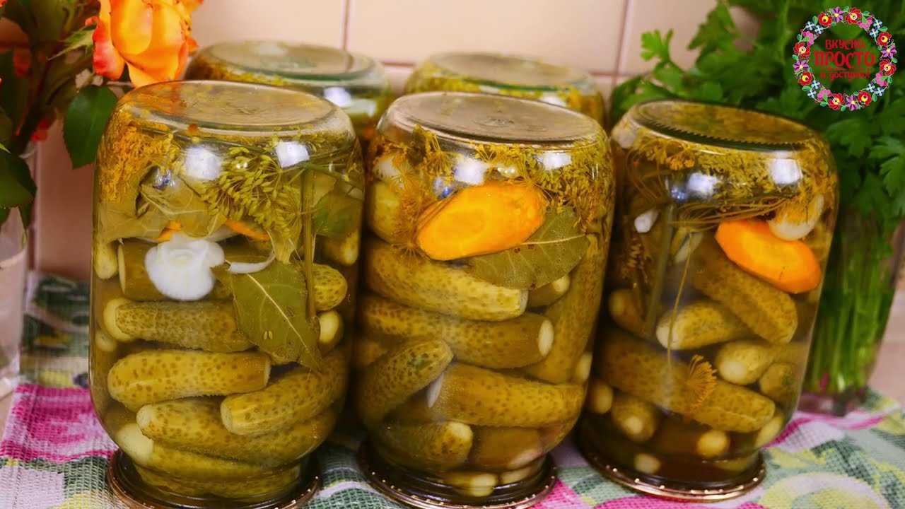 Огурцы в собственном соку на зиму: лучшие рецепты и советы по приготовлению, пошаговые инструкции по засолке | соление на огородум.инфо